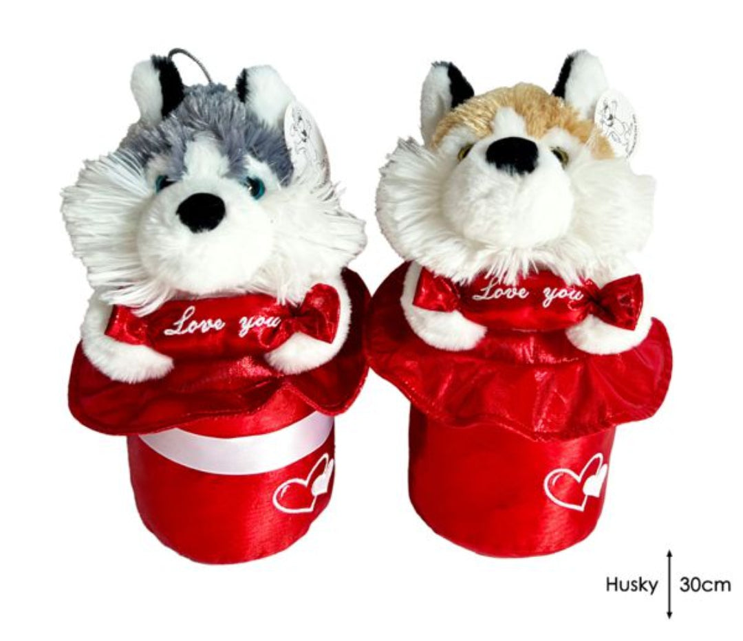 Husky 30Cm