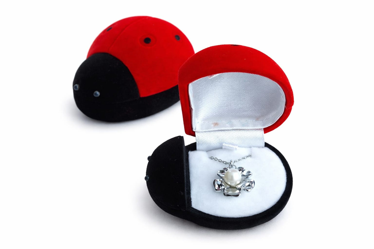 Collezione Regalo Fortuna (4 Modelli)