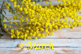 Festa della Donna
