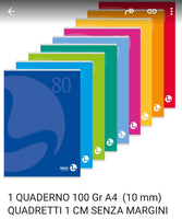 Quaderno A4  100 gr colori casuali