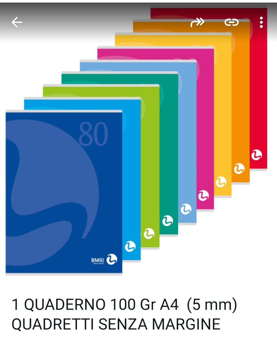 Quaderno A4  100 gr colori casuali