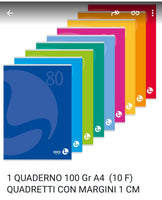 Quaderno A4  100 gr colori casuali