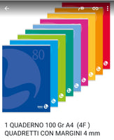 Quaderno A4  100 gr colori casuali