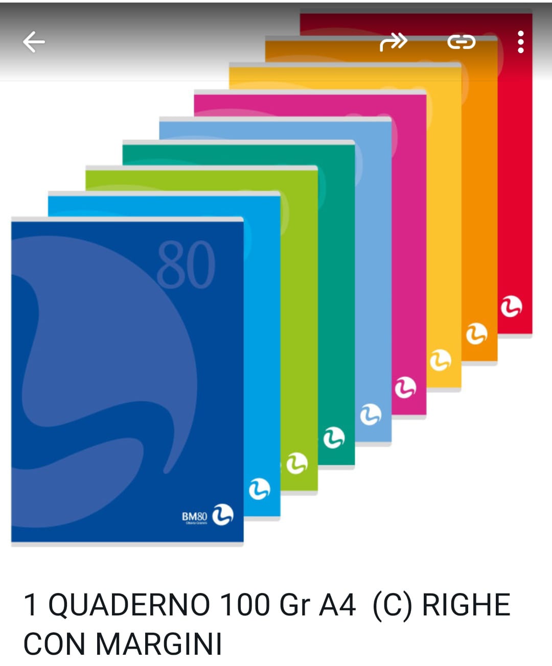 Quaderno A4  100 gr colori casuali