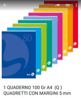 Quaderno A4  100 gr colori casuali
