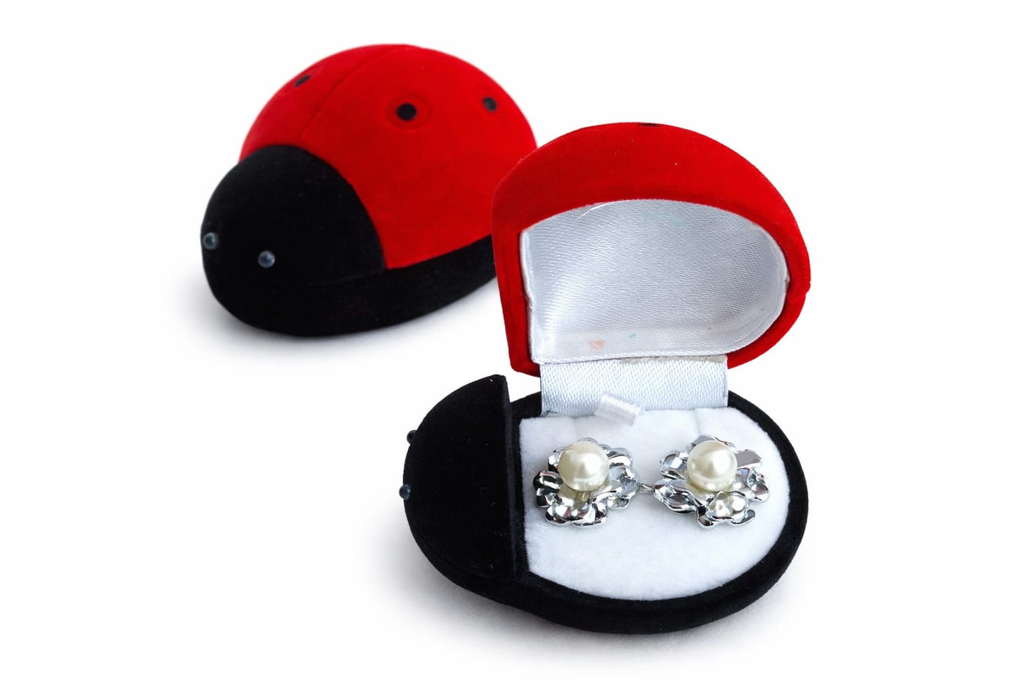 Collezione Regalo Fortuna (4 Modelli)