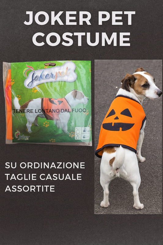 Costume halloween zucca per cani piccola taglia