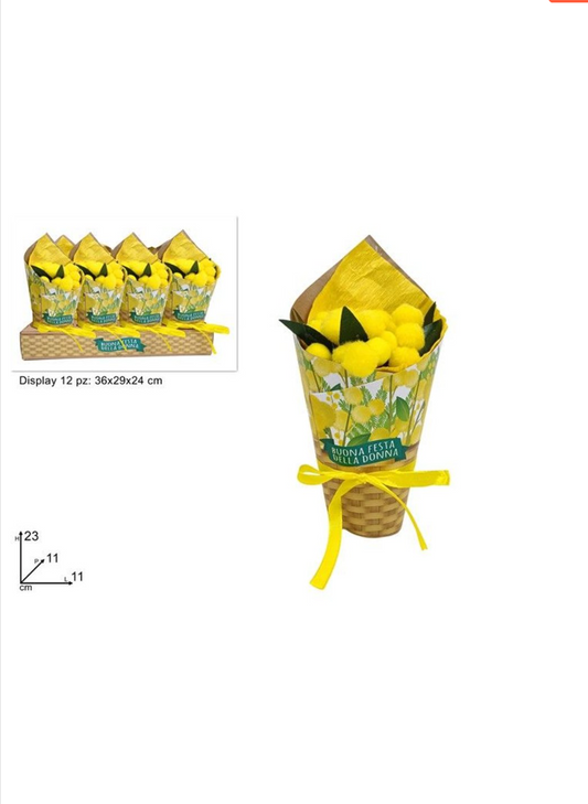 Piantina mimose con fiocco