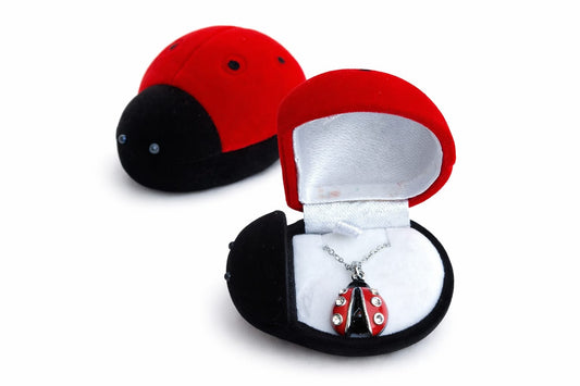 Collezione Regalo Fortuna (4 Modelli)
